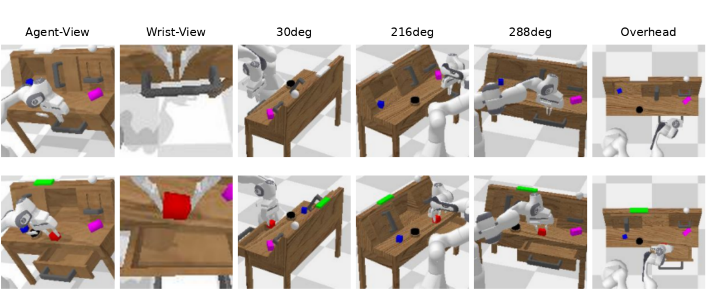 CALVIN multiview camera setup