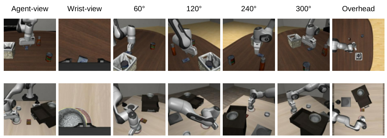 LIBERO multiview camera setup